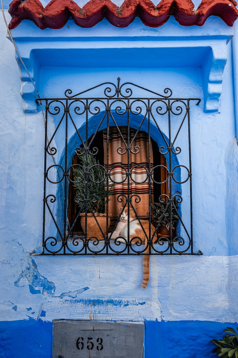 mauro-lima-xPF1MxrJQ-s-unsplash