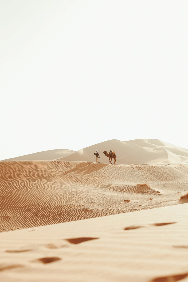mehdi-el-marouazi-OZTEV4iE1EA-unsplash